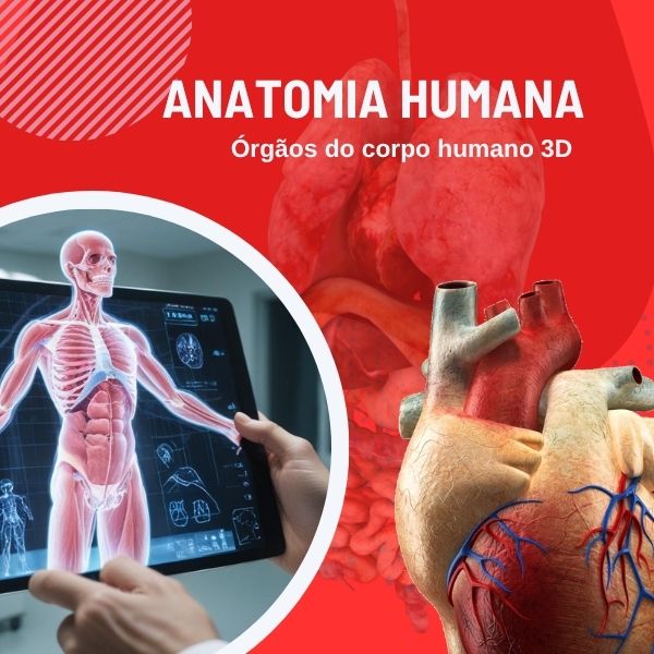 Livro Corpo Humano
